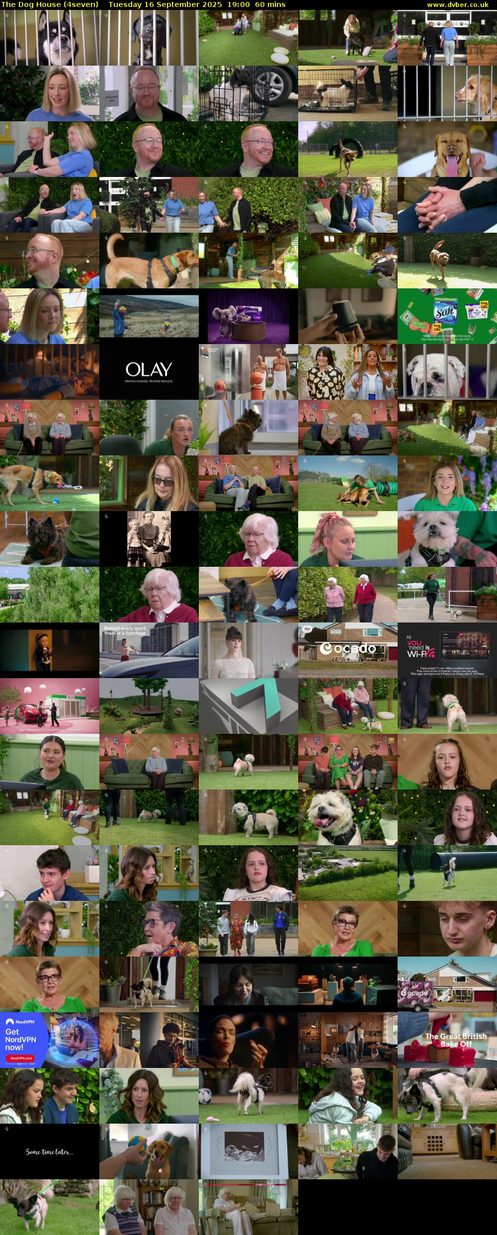 The Dog House (4seven) Tuesday 16 September 2025 19:00 - 20:00