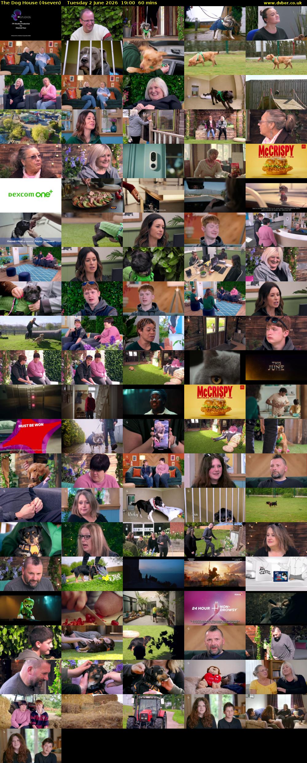 The Dog House (4seven) Tuesday 2 June 2026 19:00 - 20:00