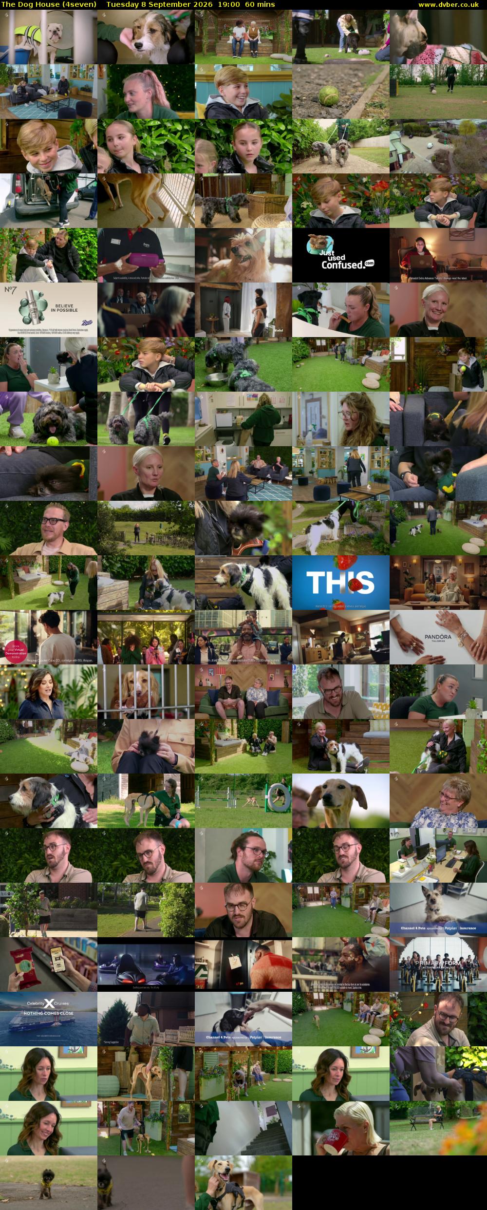 The Dog House (4seven) Tuesday 8 September 2026 19:00 - 20:00