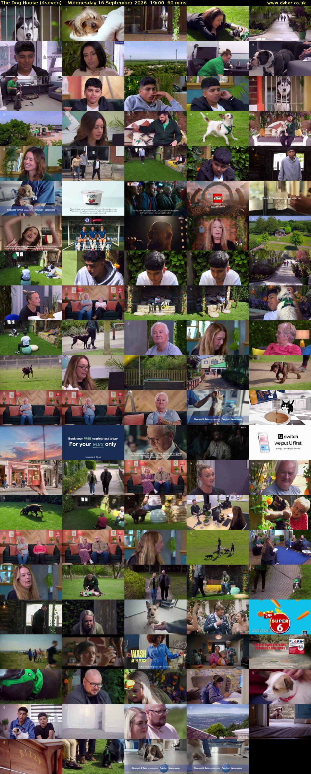The Dog House (4seven) Wednesday 16 September 2026 19:00 - 20:00