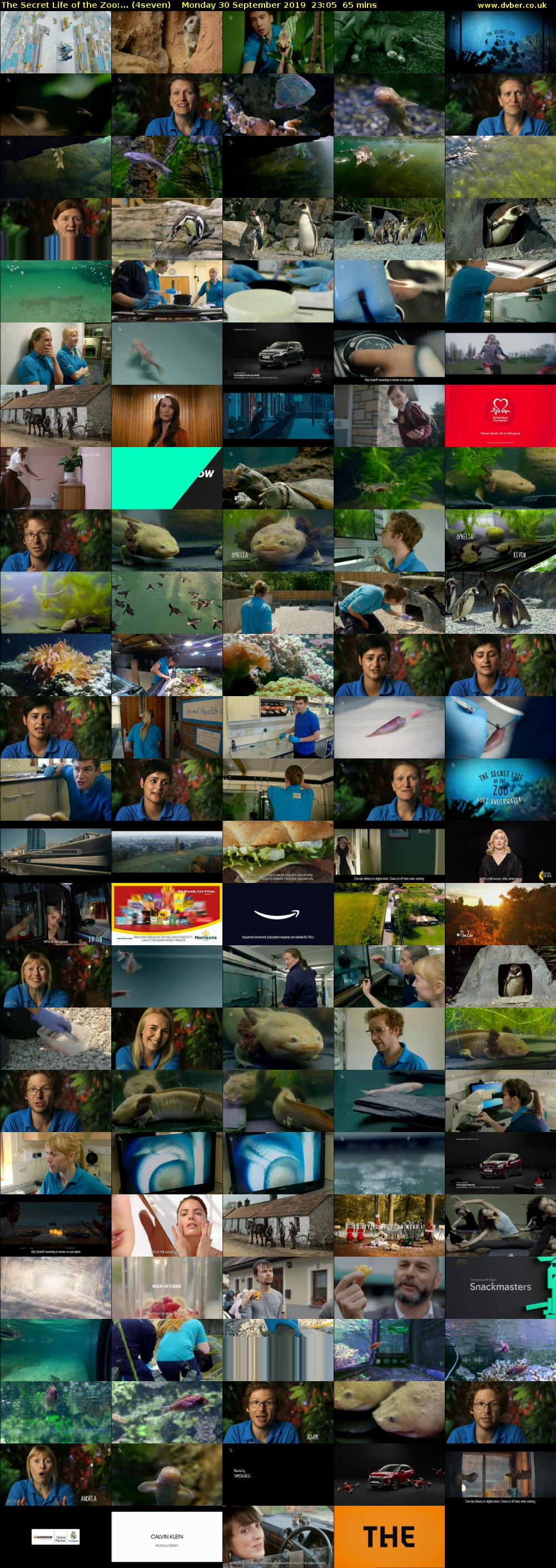 The Secret Life of the Zoo:... (4seven) Monday 30 September 2019 23:05 - 00:10