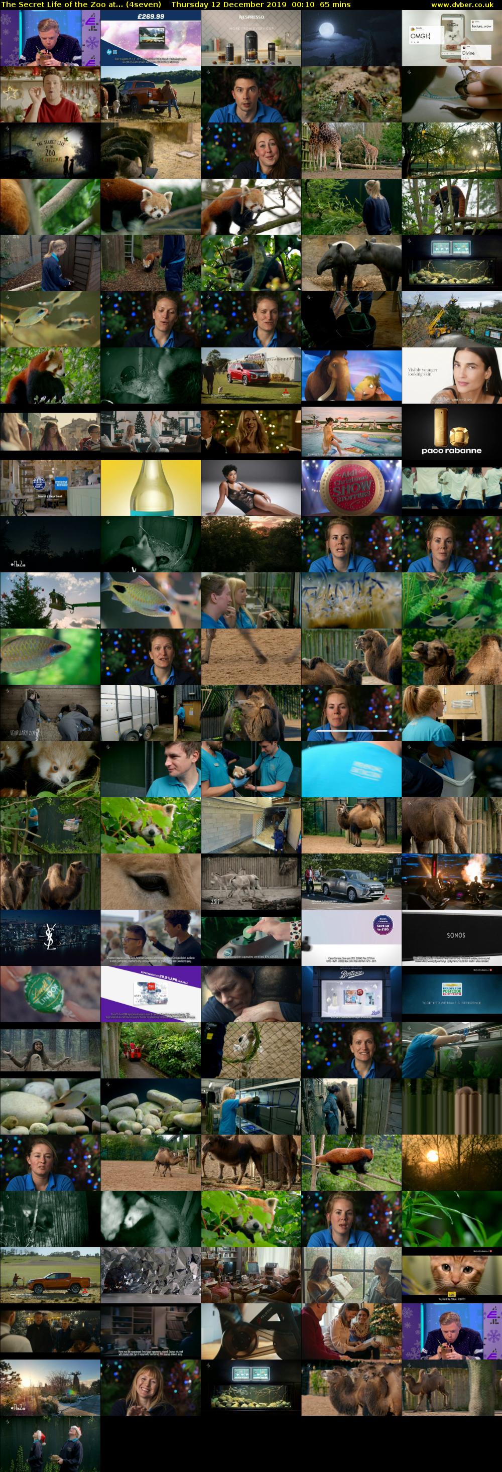 The Secret Life of the Zoo at... (4seven) Thursday 12 December 2019 00:10 - 01:15