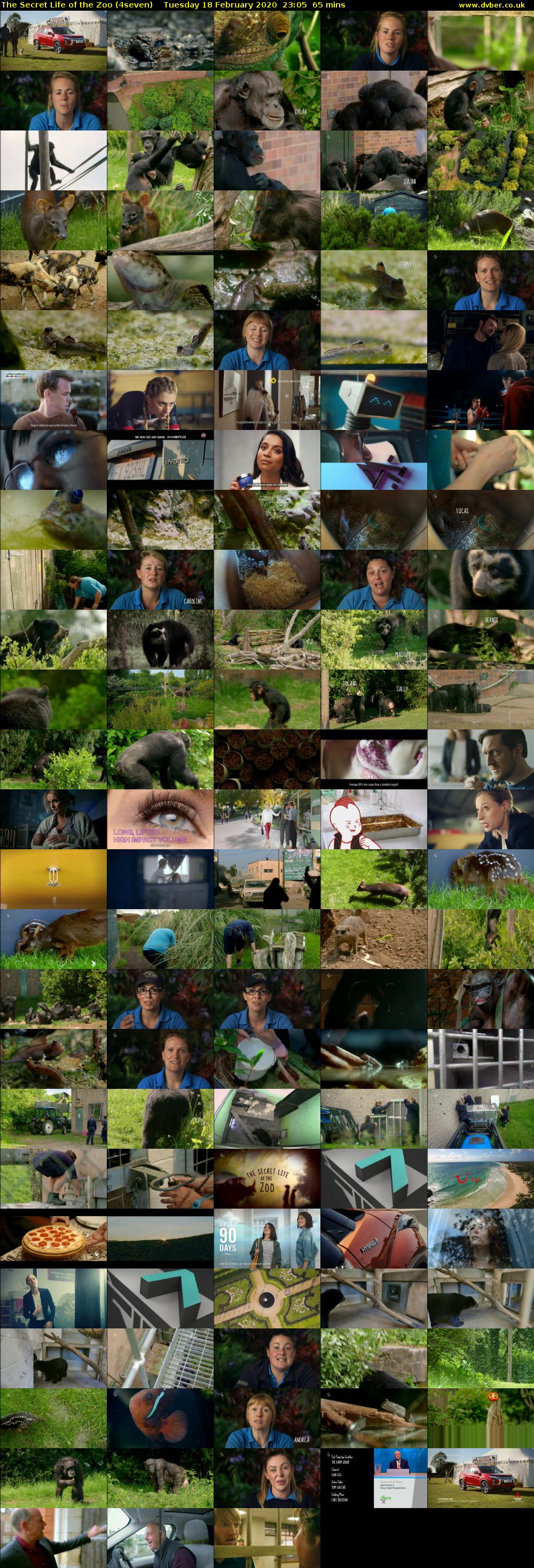 The Secret Life of the Zoo (4seven) Tuesday 18 February 2020 23:05 - 00:10