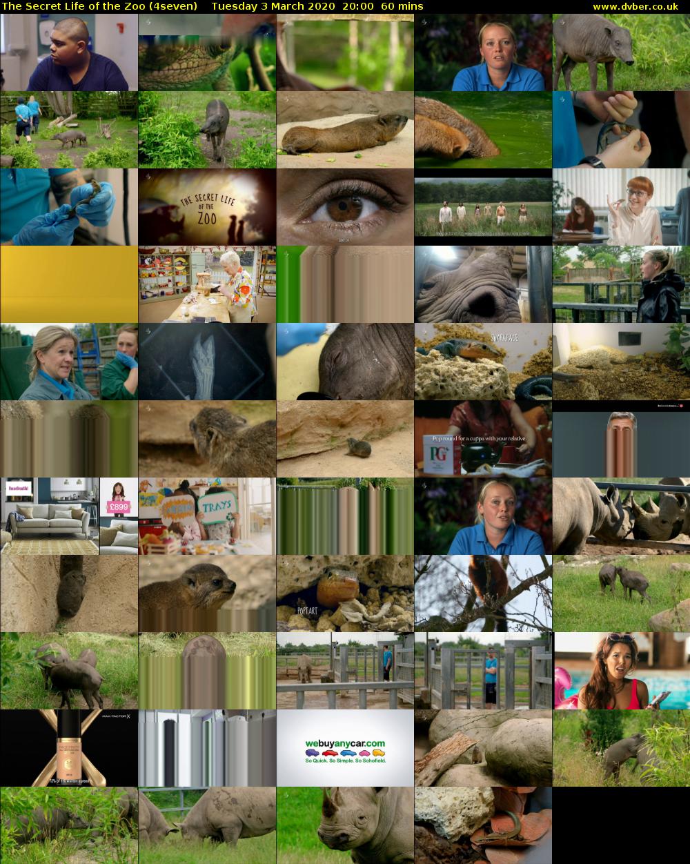 The Secret Life of the Zoo (4seven) Tuesday 3 March 2020 20:00 - 21:00
