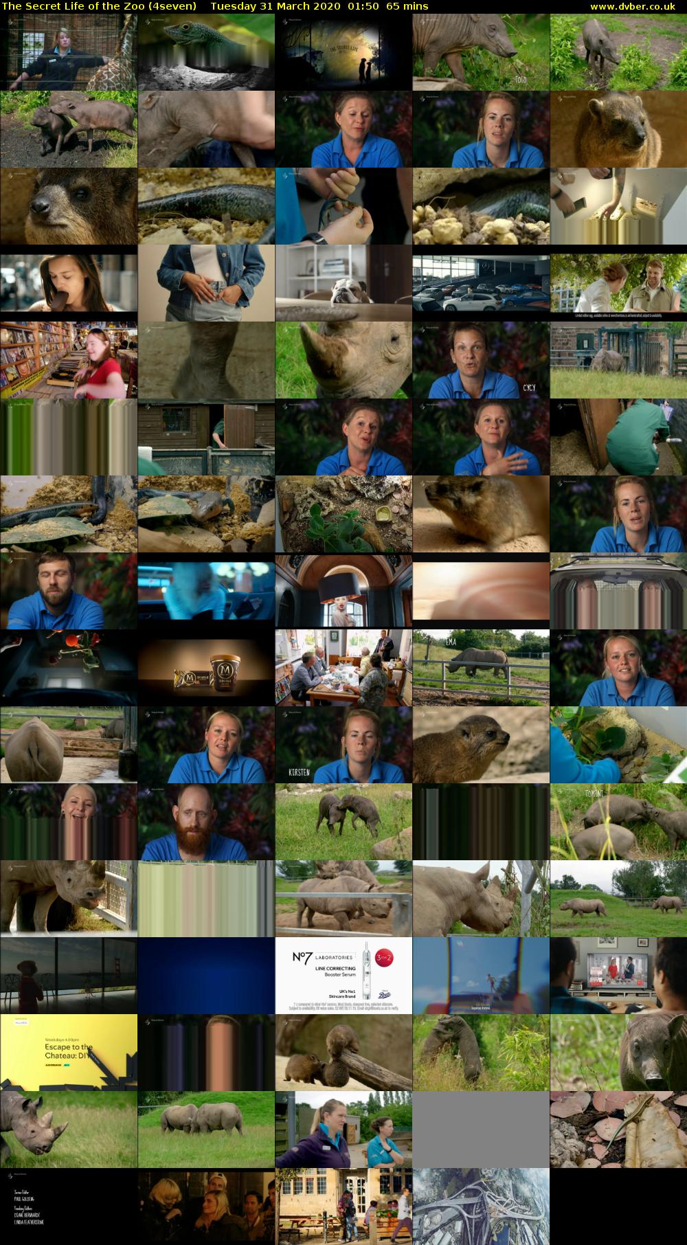 The Secret Life of the Zoo (4seven) Tuesday 31 March 2020 01:50 - 02:55