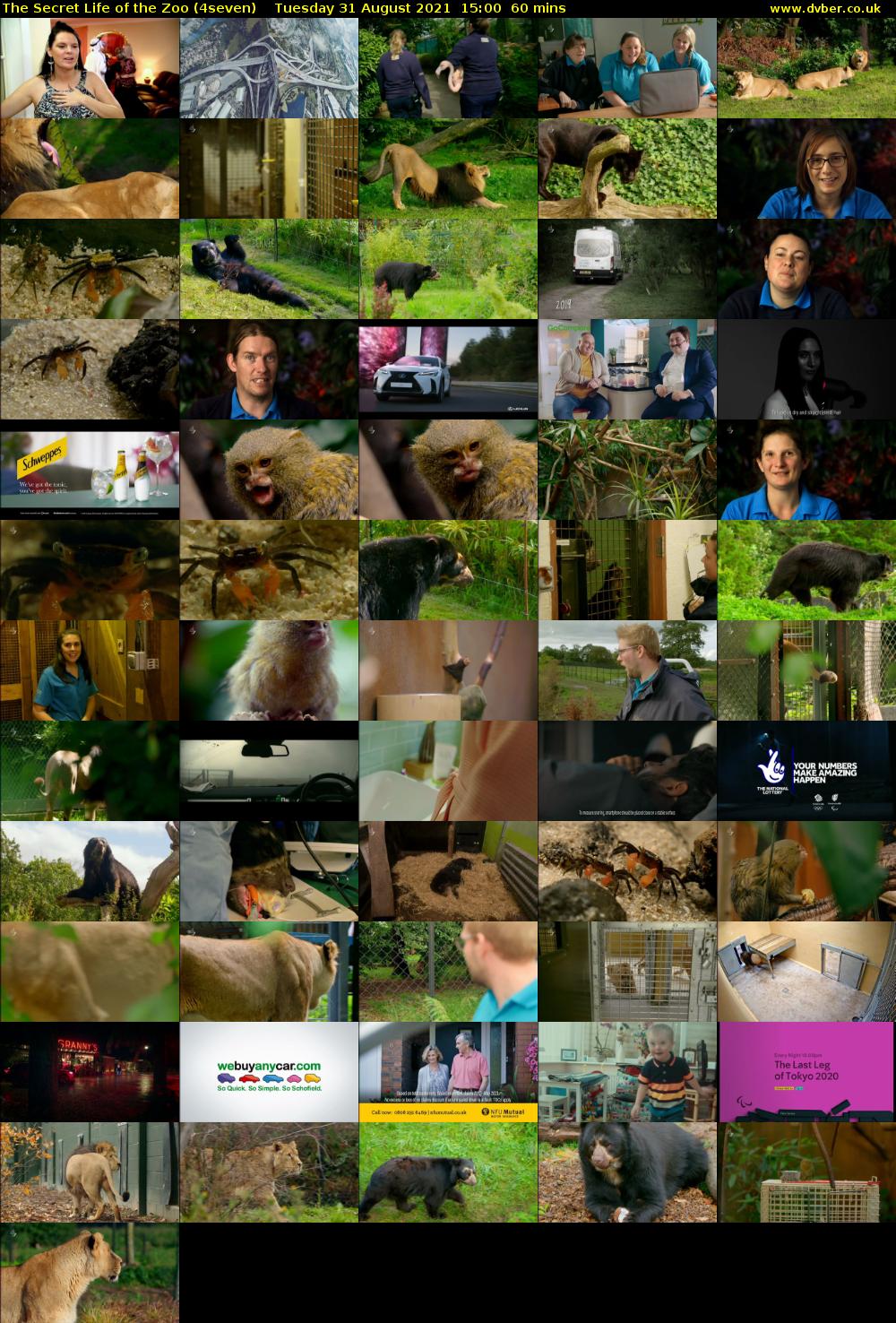 The Secret Life of the Zoo (4seven) Tuesday 31 August 2021 16:00 - 17:00