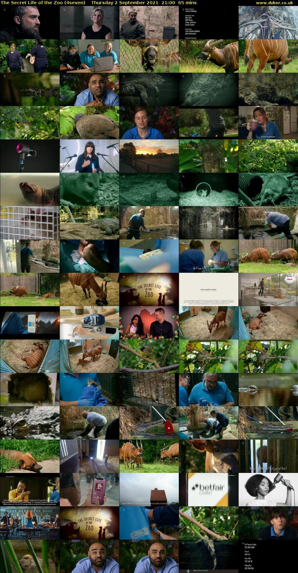 The Secret Life of the Zoo (4seven) Thursday 2 September 2021 22:00 - 23:05