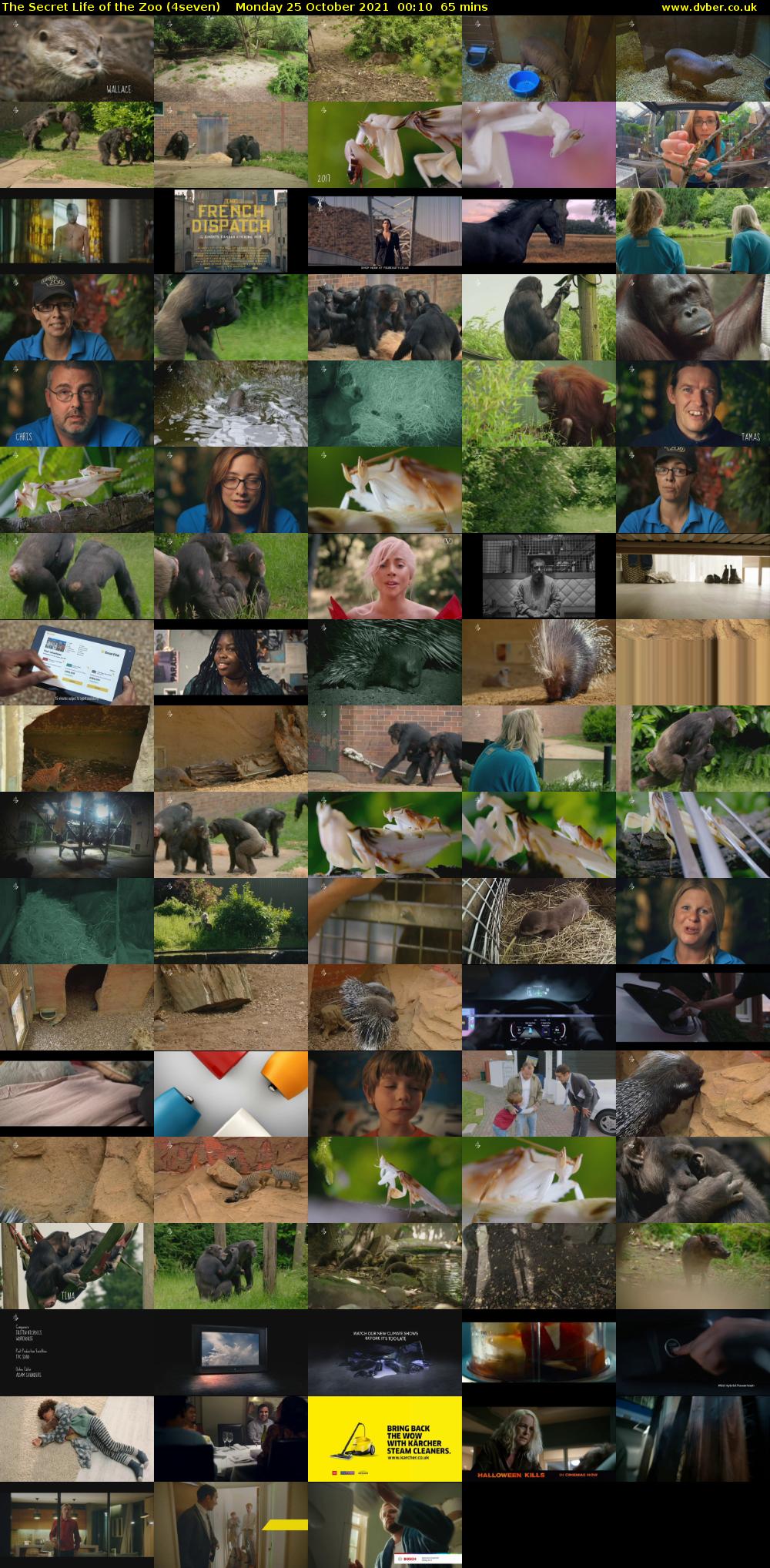 The Secret Life of the Zoo (4seven) Monday 25 October 2021 00:10 - 01:15