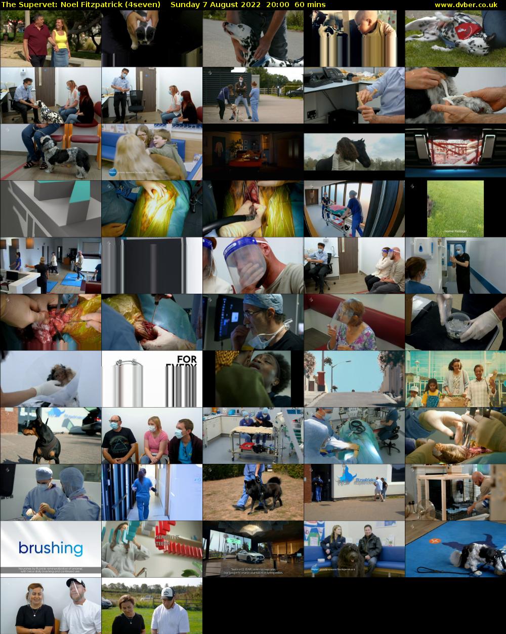 The Supervet: Noel Fitzpatrick (4seven) Sunday 7 August 2022 20:00 - 21:00