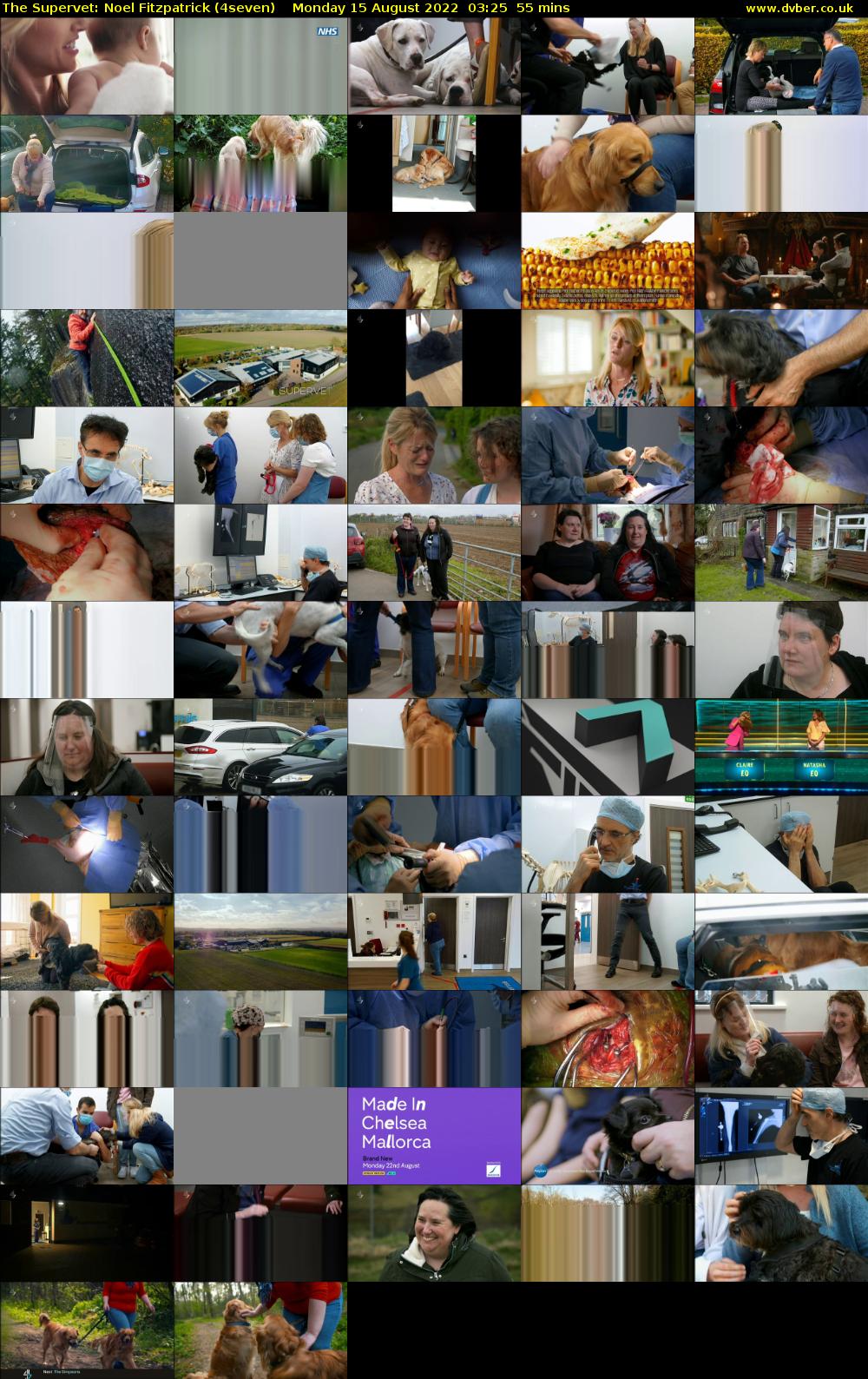 The Supervet: Noel Fitzpatrick (4seven) Monday 15 August 2022 03:25 - 04:20