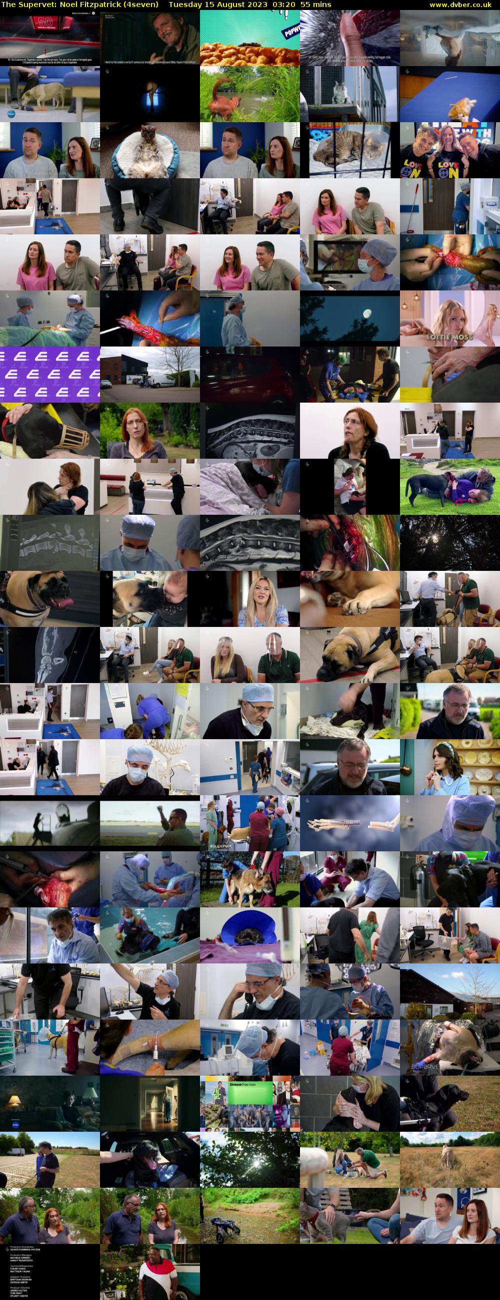 The Supervet: Noel Fitzpatrick (4seven) Tuesday 15 August 2023 03:20 - 04:15