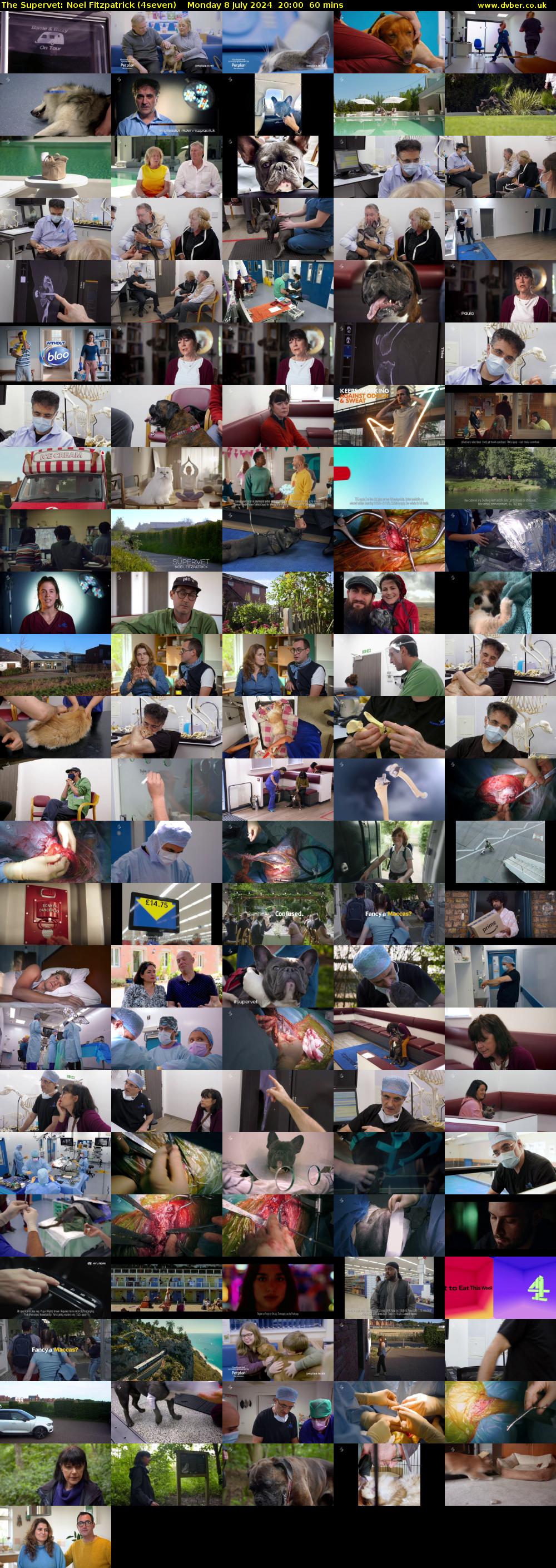 The Supervet: Noel Fitzpatrick (4seven) Monday 8 July 2024 20:00 - 21:00