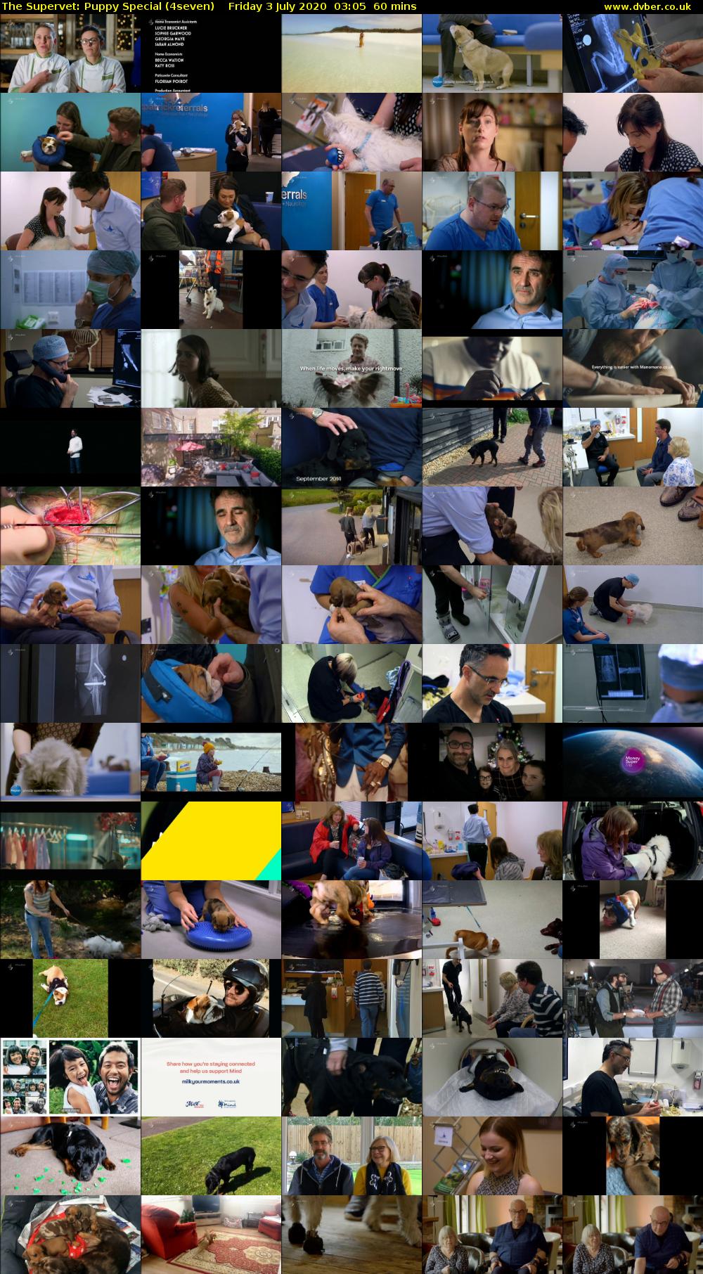 The Supervet: Puppy Special (4seven) Friday 3 July 2020 03:05 - 04:05