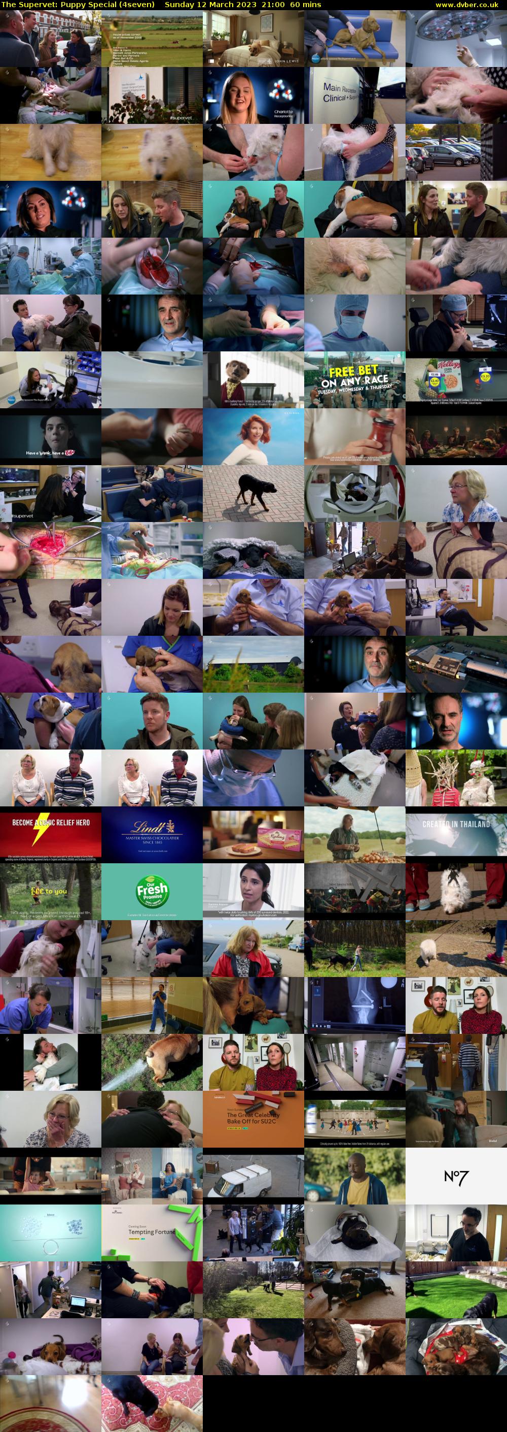 The Supervet: Puppy Special (4seven) Sunday 12 March 2023 21:00 - 22:00