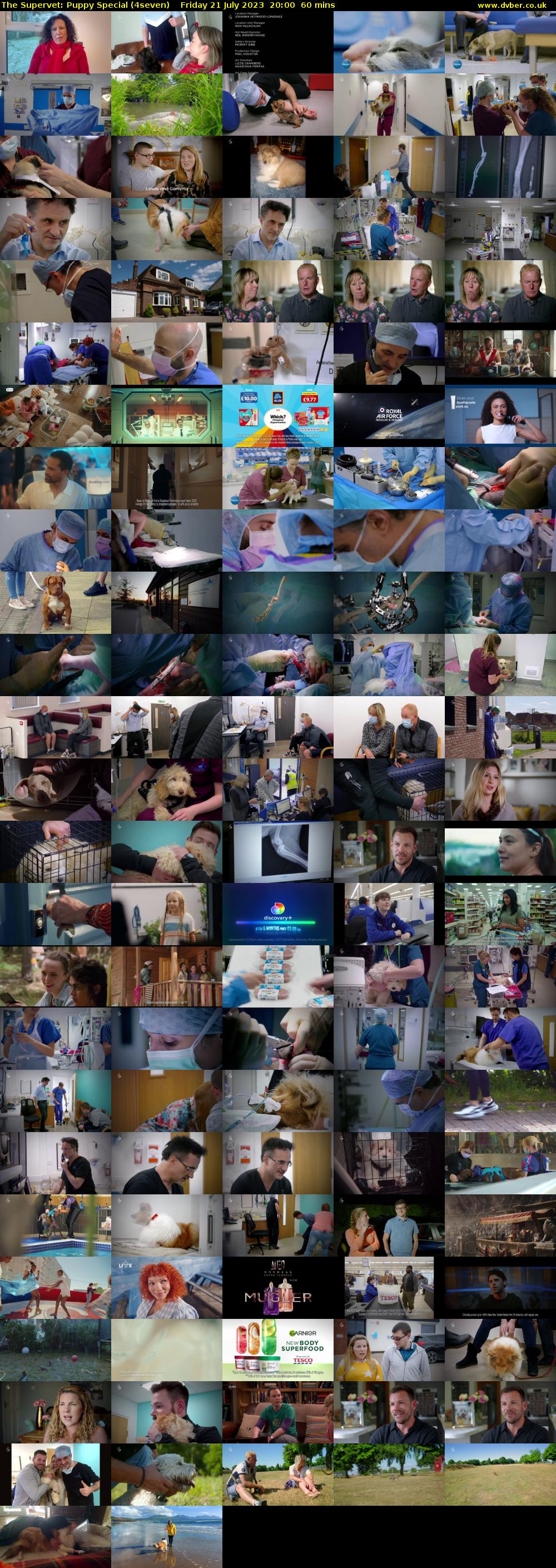 The Supervet: Puppy Special (4seven) Friday 21 July 2023 20:00 - 21:00