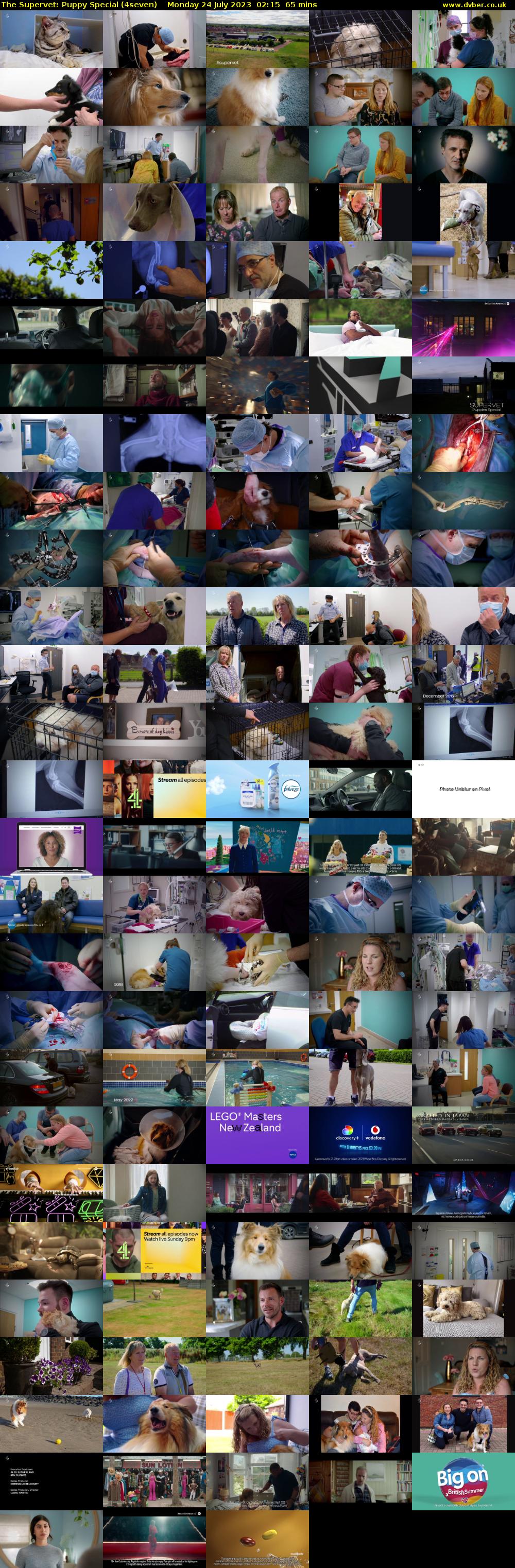 The Supervet: Puppy Special (4seven) Monday 24 July 2023 02:15 - 03:20