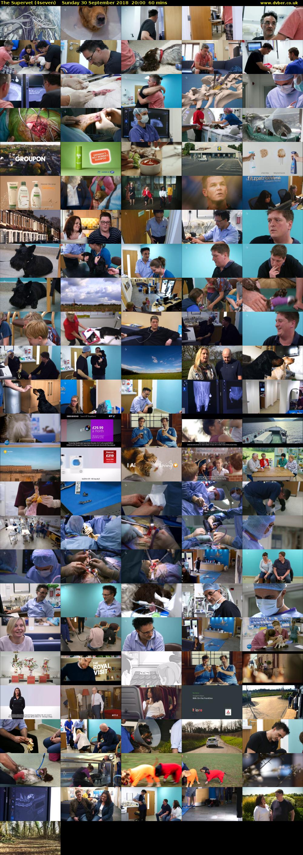The Supervet (4seven) Sunday 30 September 2018 20:00 - 21:00
