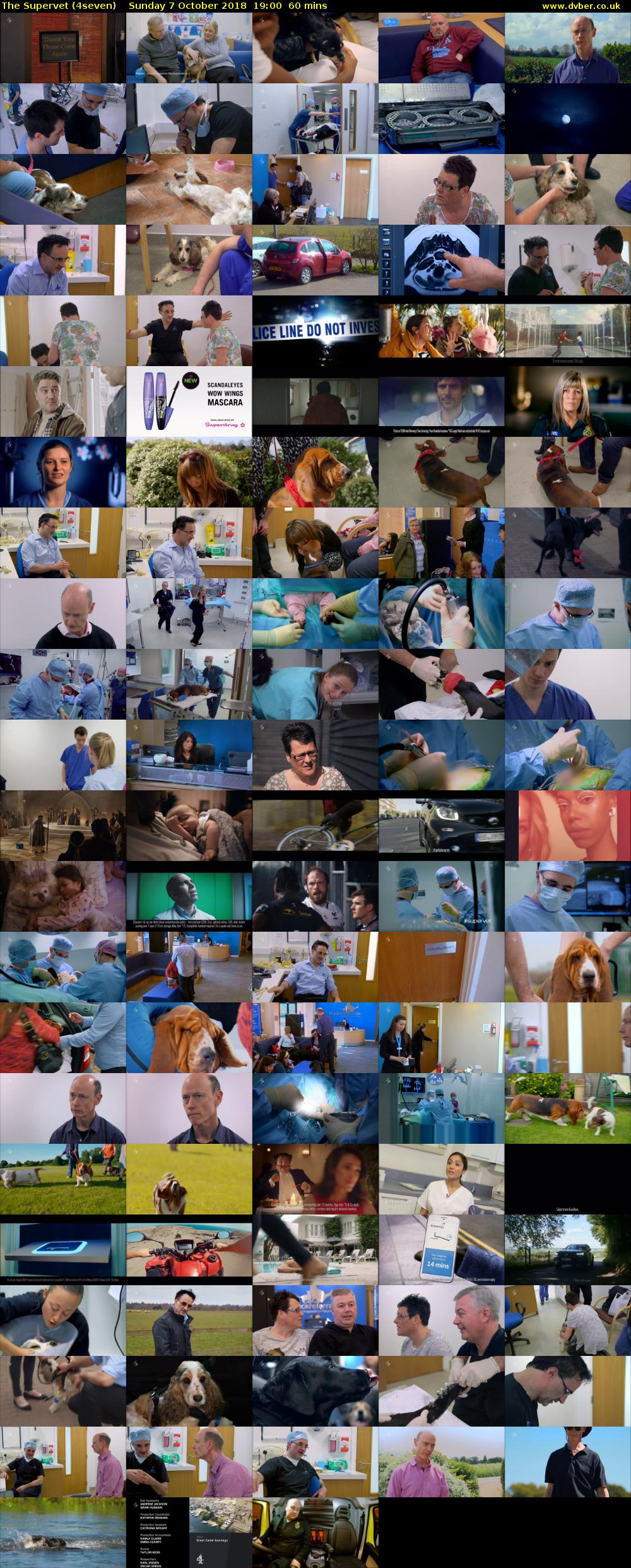 The Supervet (4seven) Sunday 7 October 2018 19:00 - 20:00