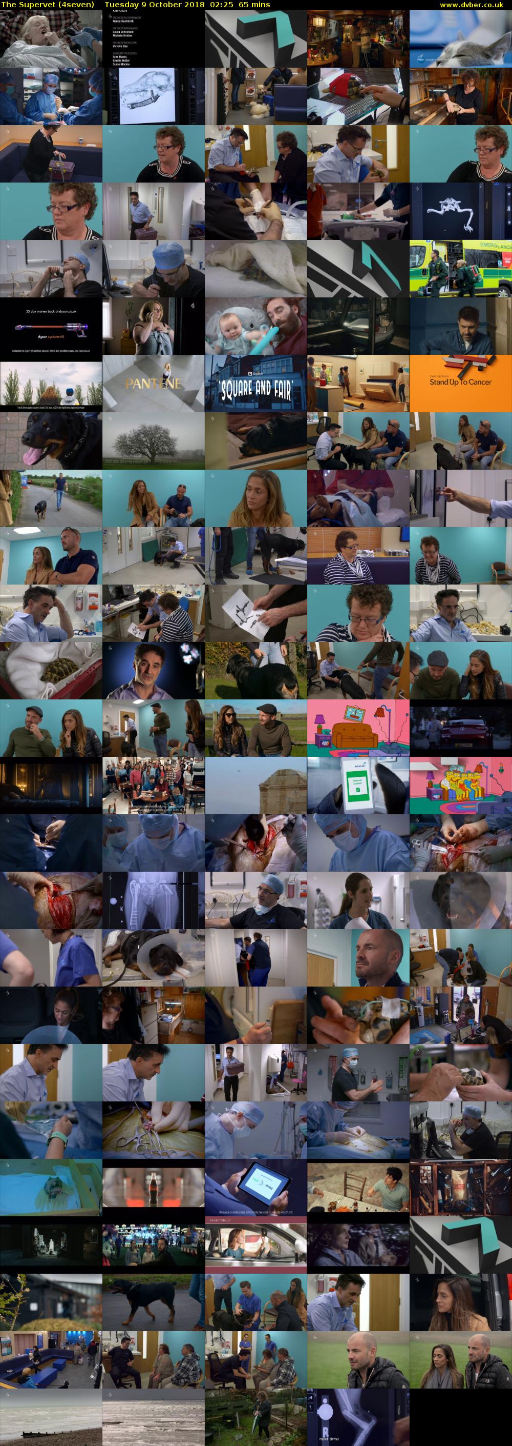 The Supervet (4seven) Tuesday 9 October 2018 02:25 - 03:30
