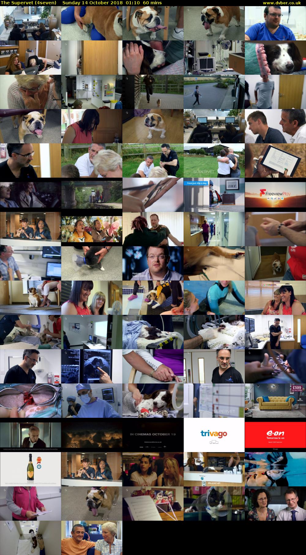 The Supervet (4seven) Sunday 14 October 2018 01:10 - 02:10