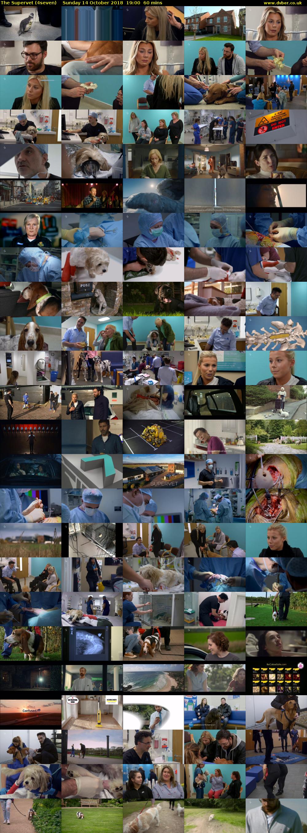 The Supervet (4seven) Sunday 14 October 2018 19:00 - 20:00