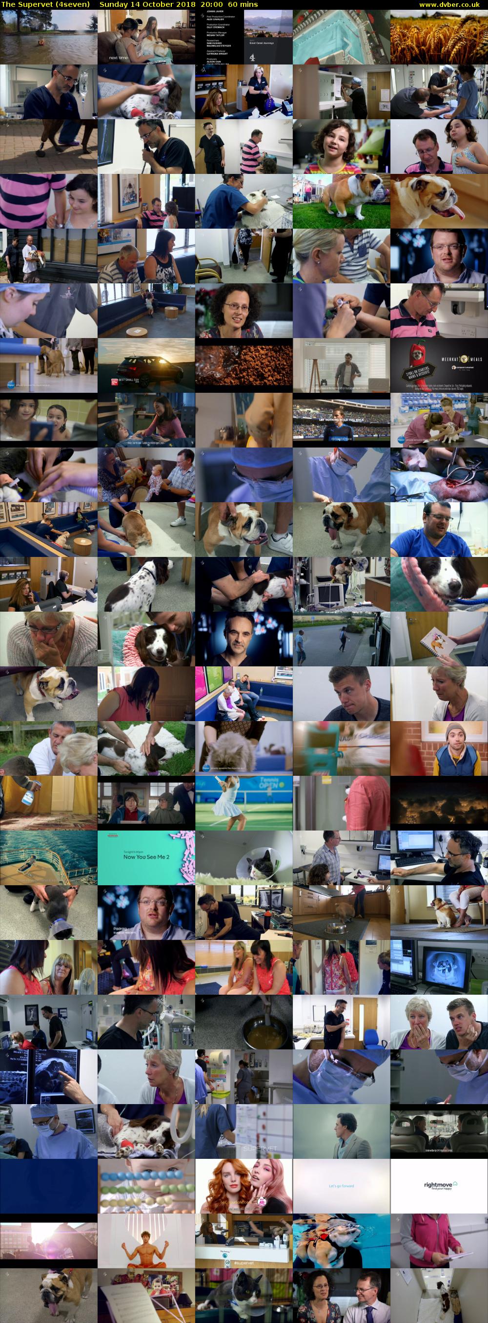The Supervet (4seven) Sunday 14 October 2018 20:00 - 21:00