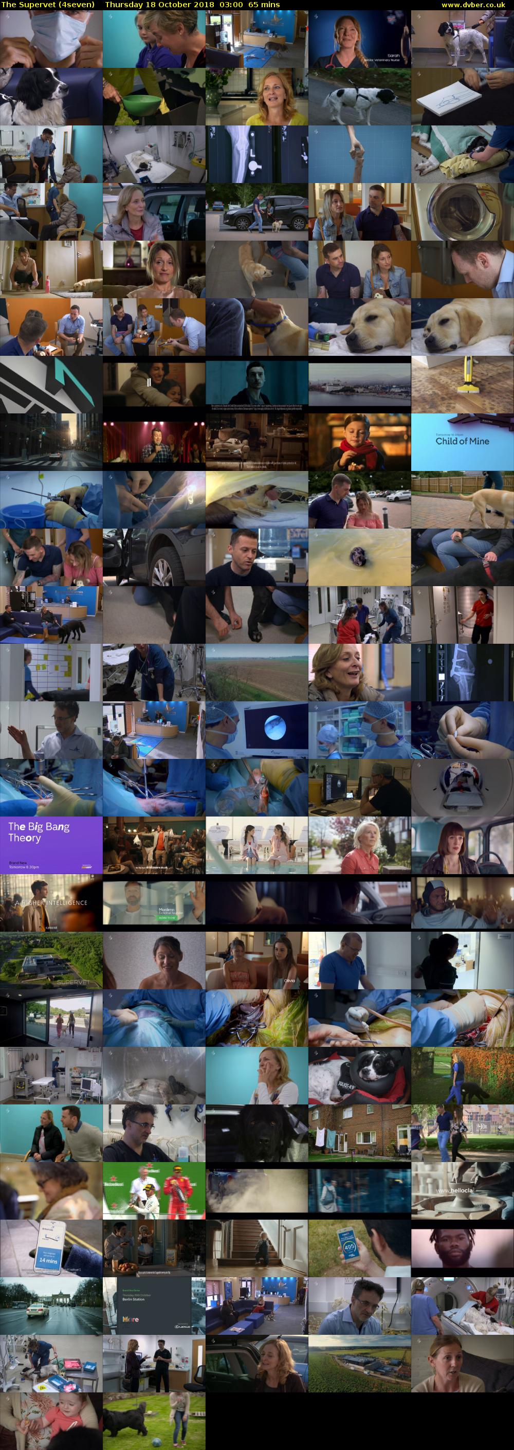 The Supervet (4seven) Thursday 18 October 2018 03:00 - 04:05
