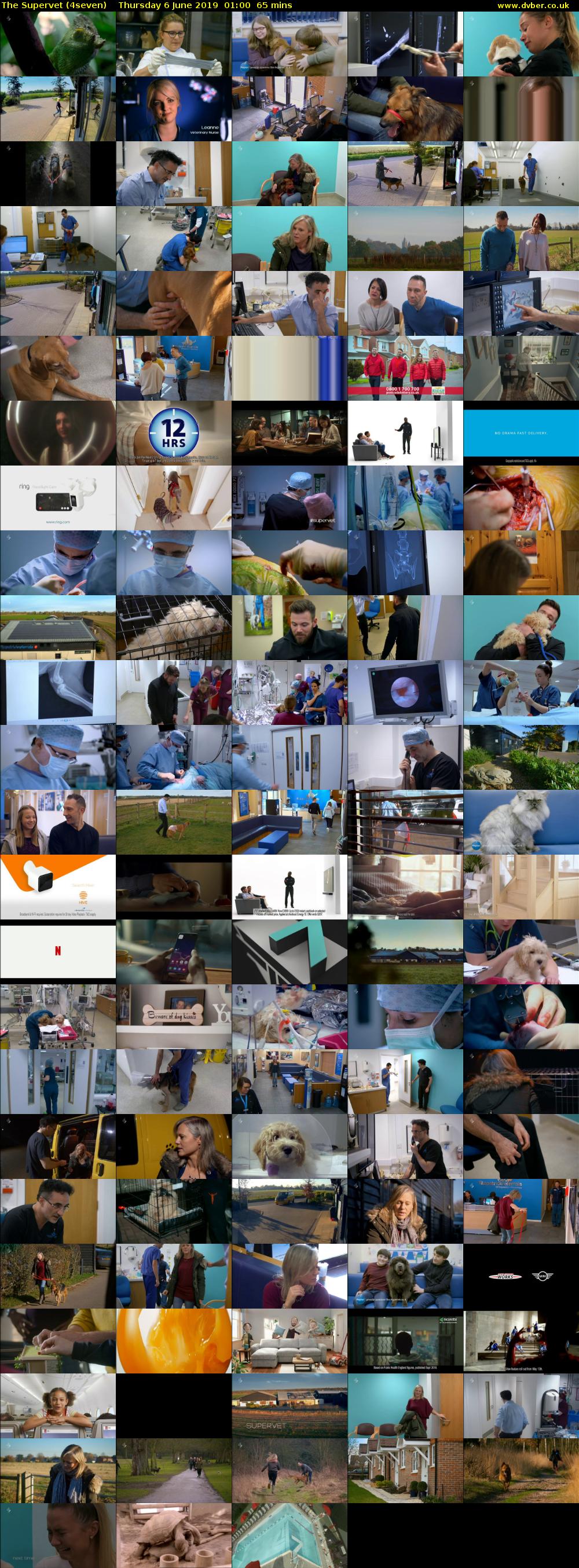 The Supervet (4seven) Thursday 6 June 2019 01:00 - 02:05