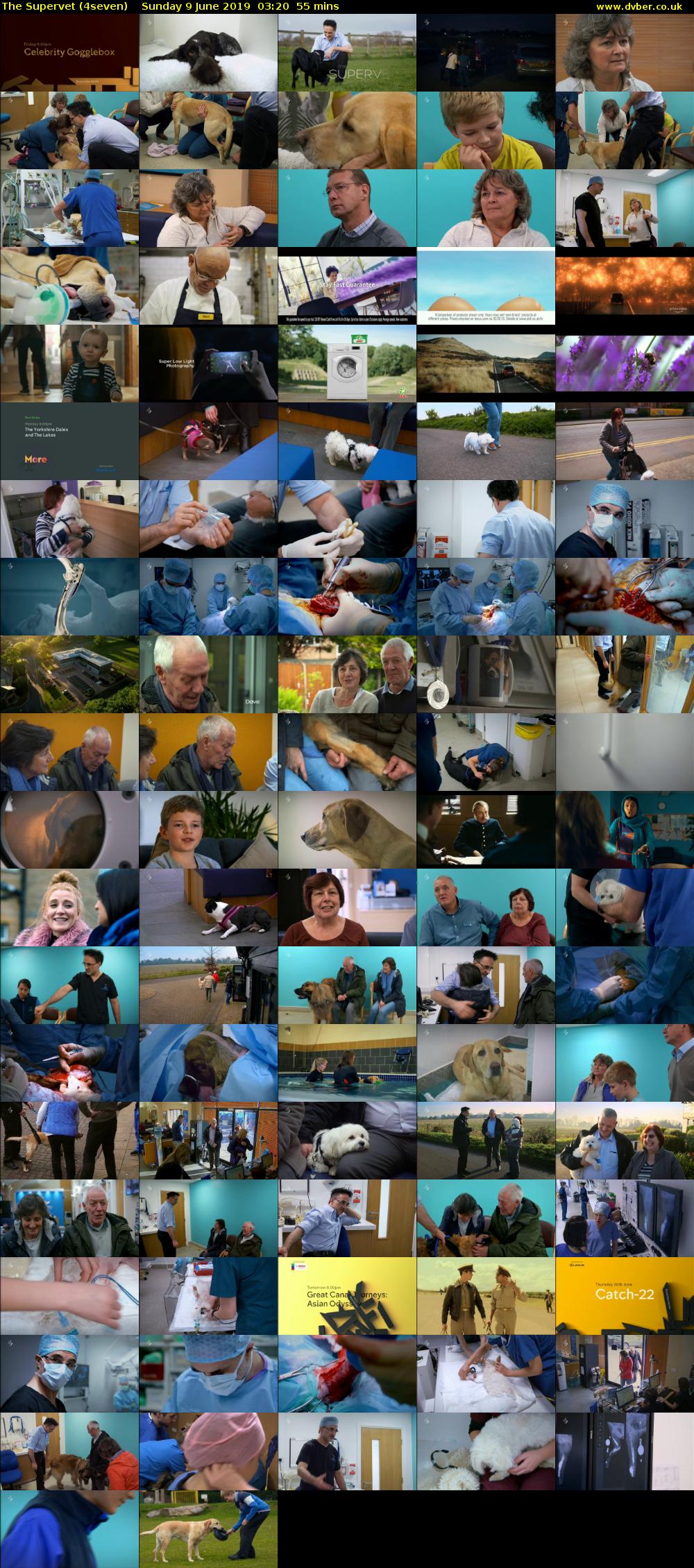The Supervet (4seven) Sunday 9 June 2019 03:20 - 04:15