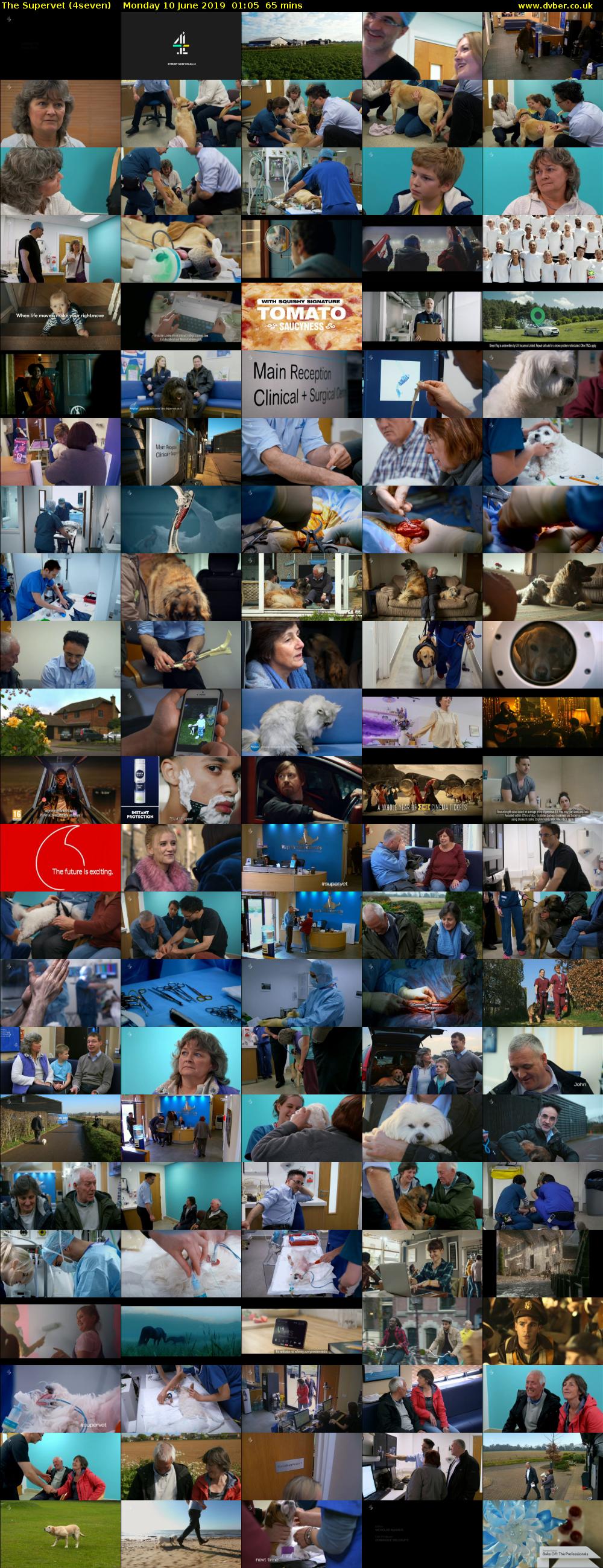 The Supervet (4seven) Monday 10 June 2019 01:05 - 02:10
