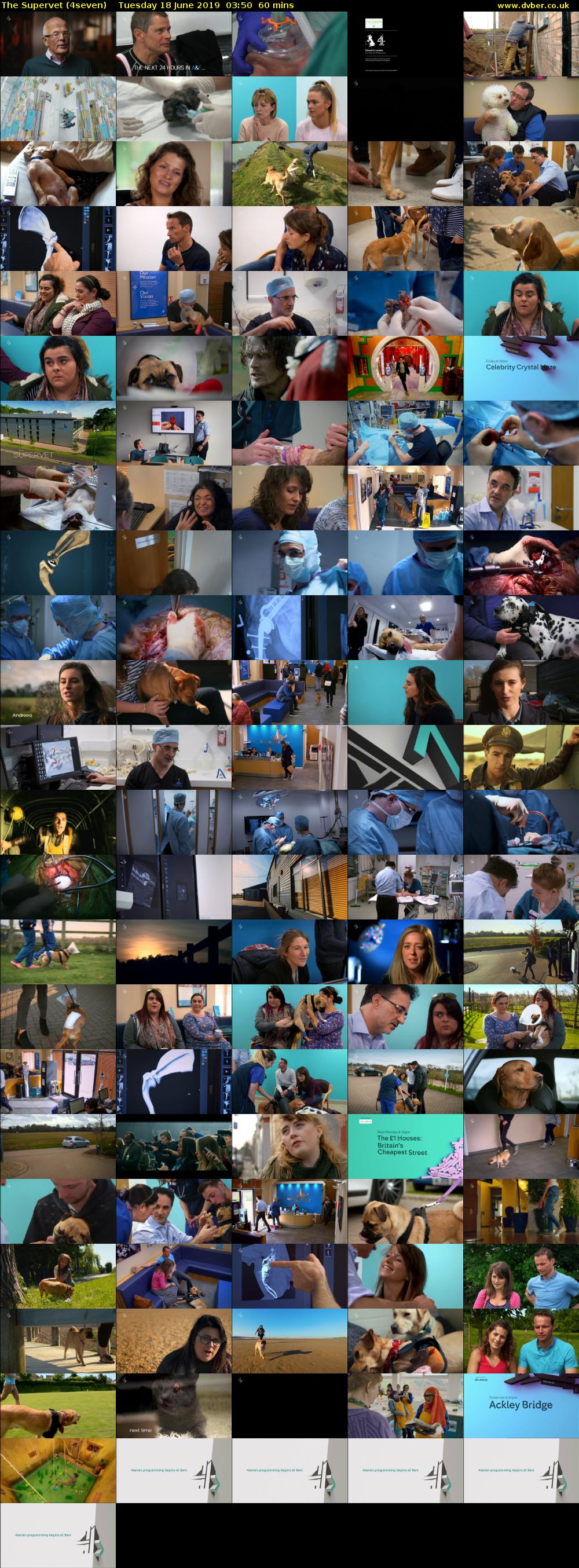The Supervet (4seven) Tuesday 18 June 2019 03:50 - 04:50