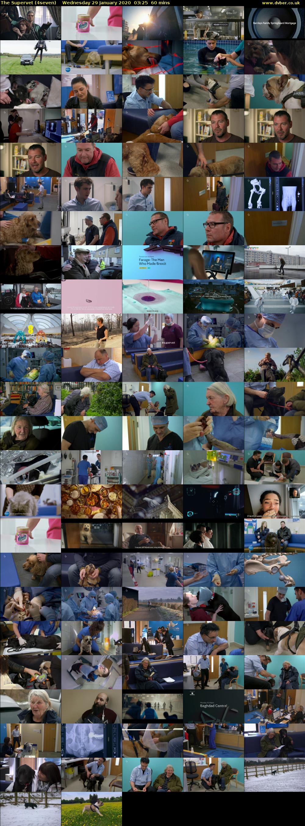The Supervet (4seven) Wednesday 29 January 2020 03:25 - 04:25