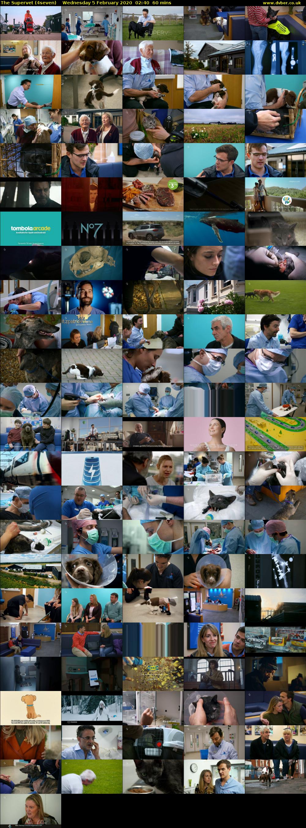 The Supervet (4seven) Wednesday 5 February 2020 02:40 - 03:40