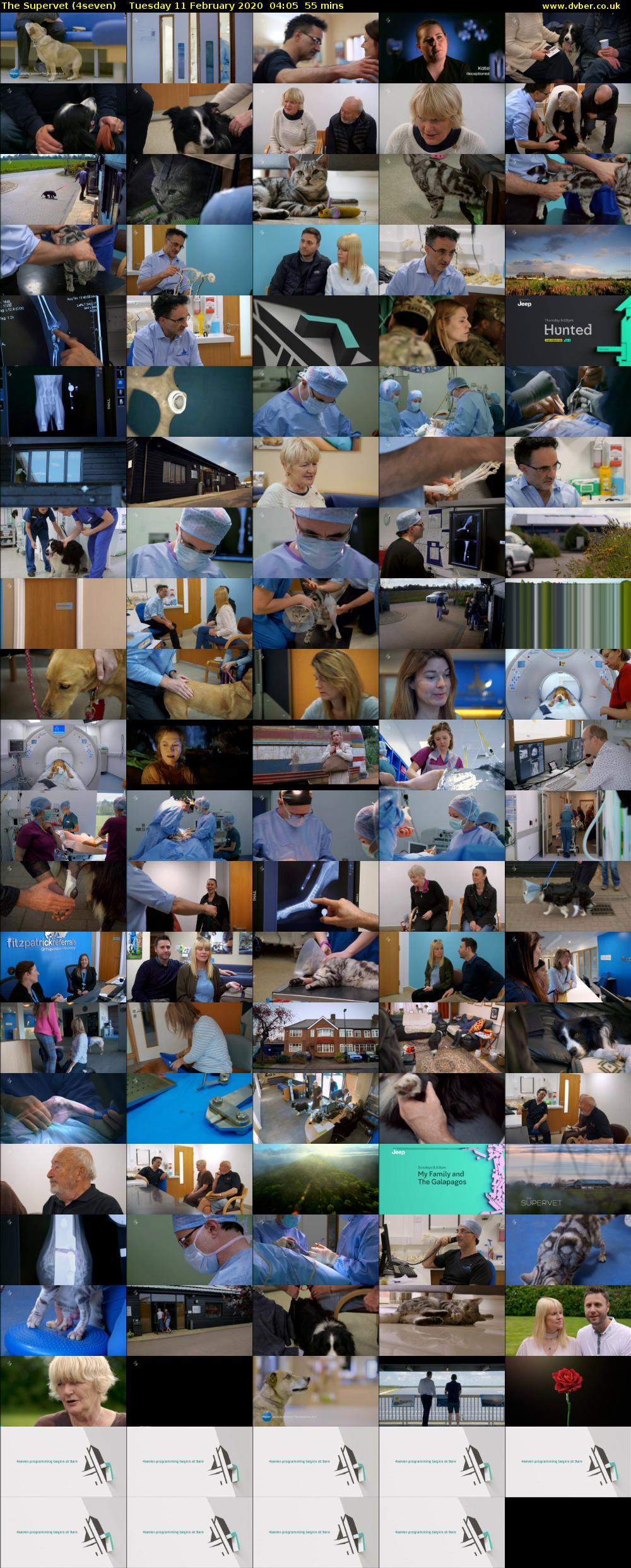 The Supervet (4seven) Tuesday 11 February 2020 04:05 - 05:00