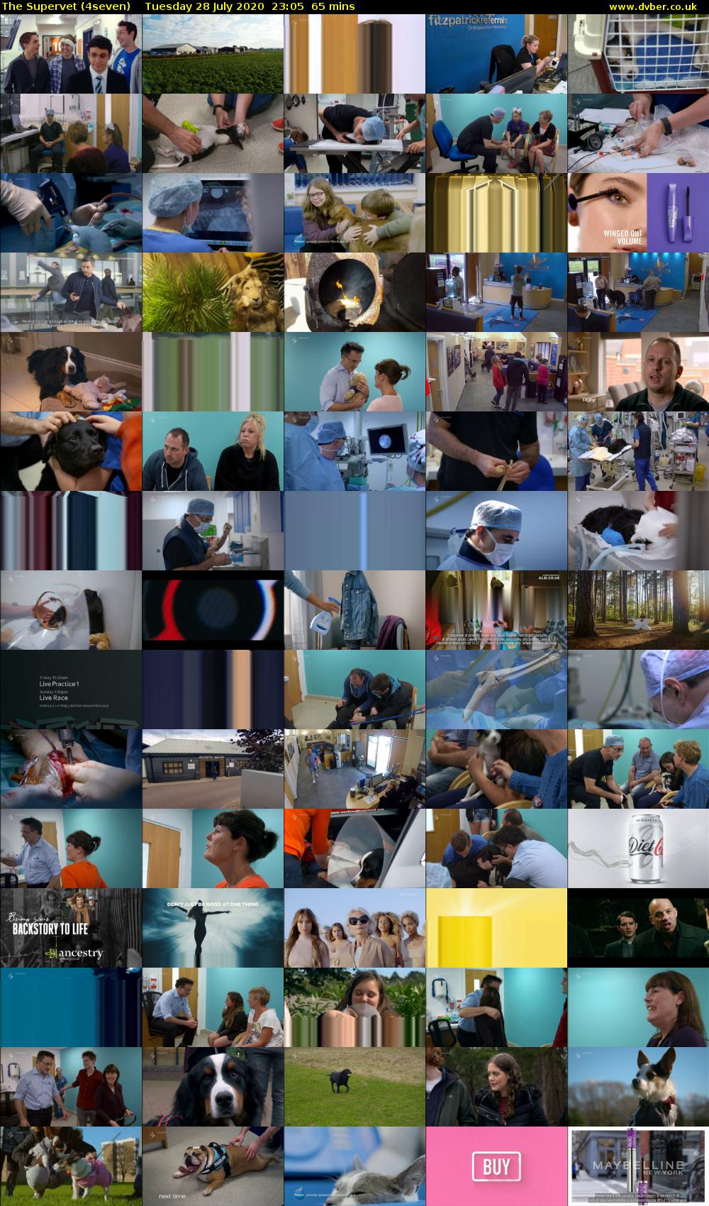 The Supervet (4seven) Tuesday 28 July 2020 23:05 - 00:10