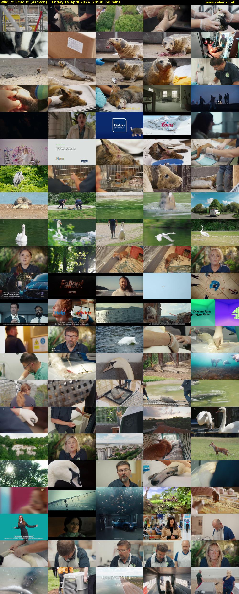 Wildlife Rescue (4seven) Friday 19 April 2024 20:00 - 21:00