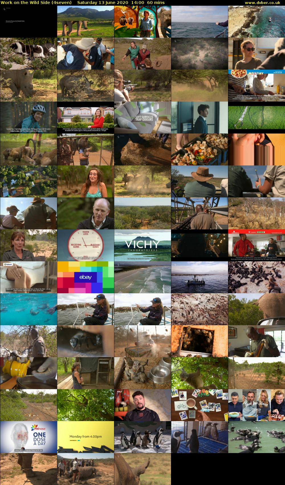 Work on the Wild Side (4seven) Saturday 13 June 2020 14:00 - 15:00