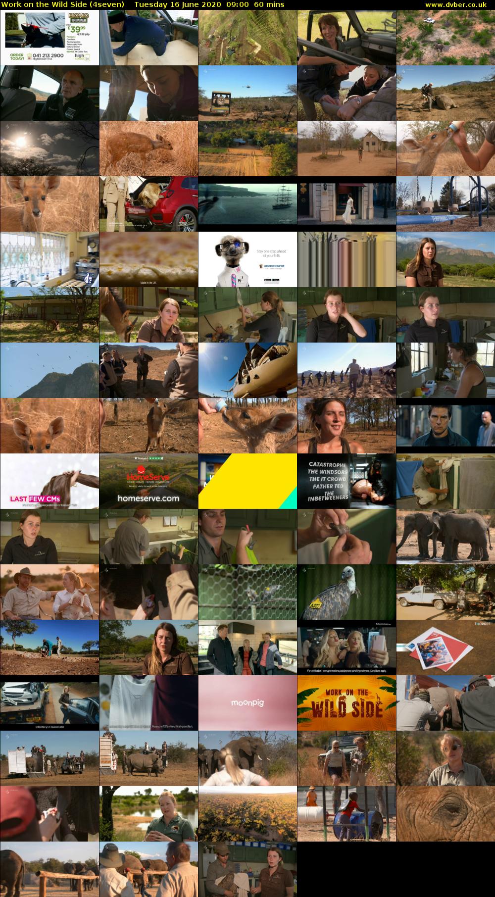 Work on the Wild Side (4seven) Tuesday 16 June 2020 09:00 - 10:00