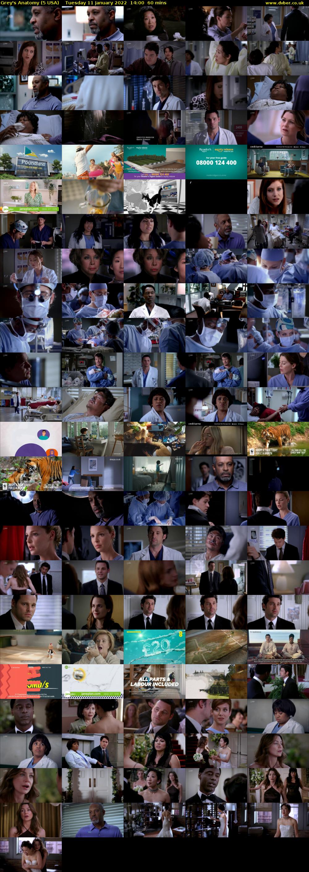 Grey's Anatomy (5 USA) Tuesday 11 January 2022 14:00 - 15:00