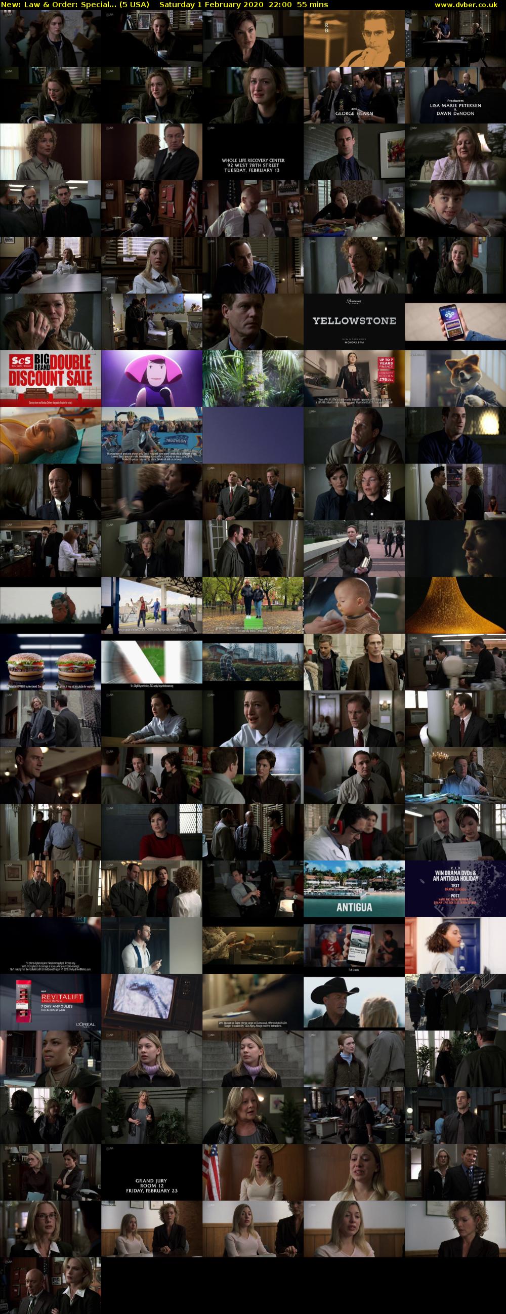 Law & Order: Special... (5 USA) Saturday 1 February 2020 22:00 - 22:55