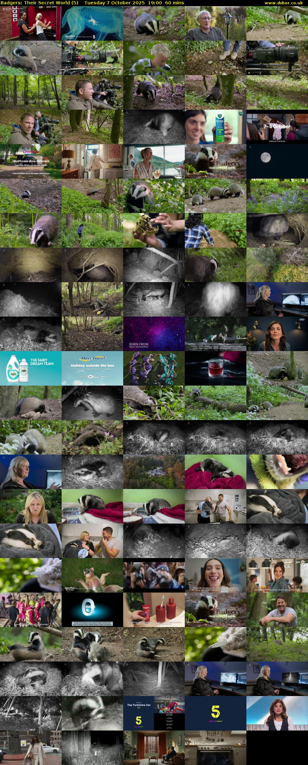 Badgers: Their Secret World (5) Tuesday 7 October 2025 19:00 - 20:00