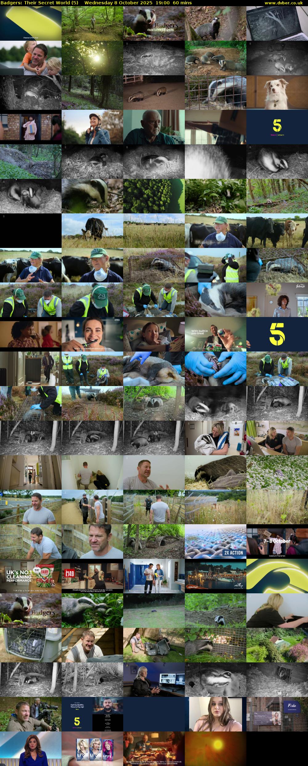 Badgers: Their Secret World (5) Wednesday 8 October 2025 19:00 - 20:00