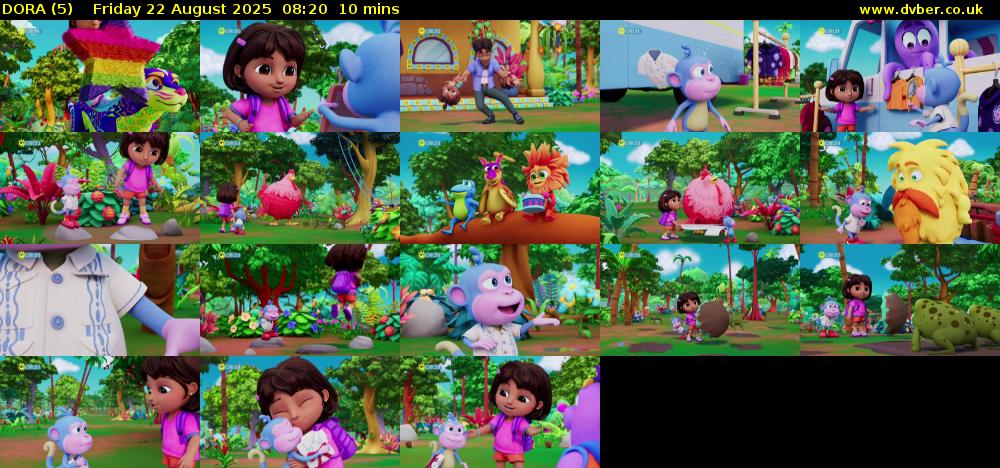 DORA (5) Friday 22 August 2025 08:20 - 08:30