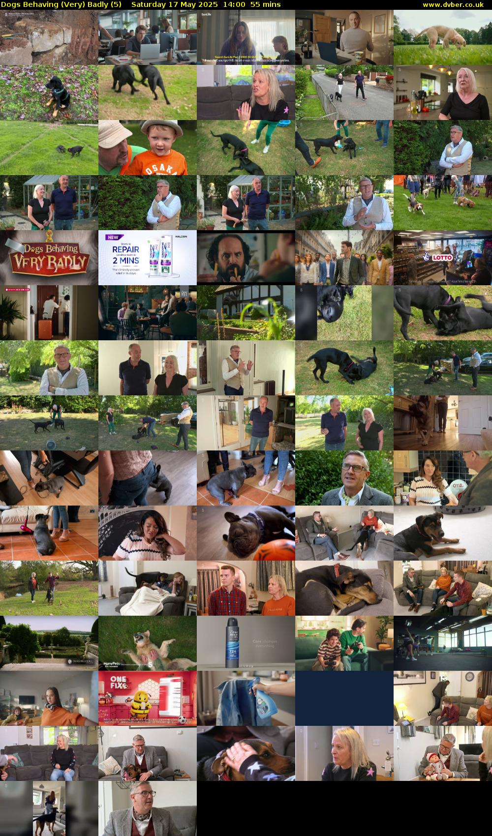 Dogs Behaving (Very) Badly (5) Saturday 17 May 2025 14:00 - 14:55