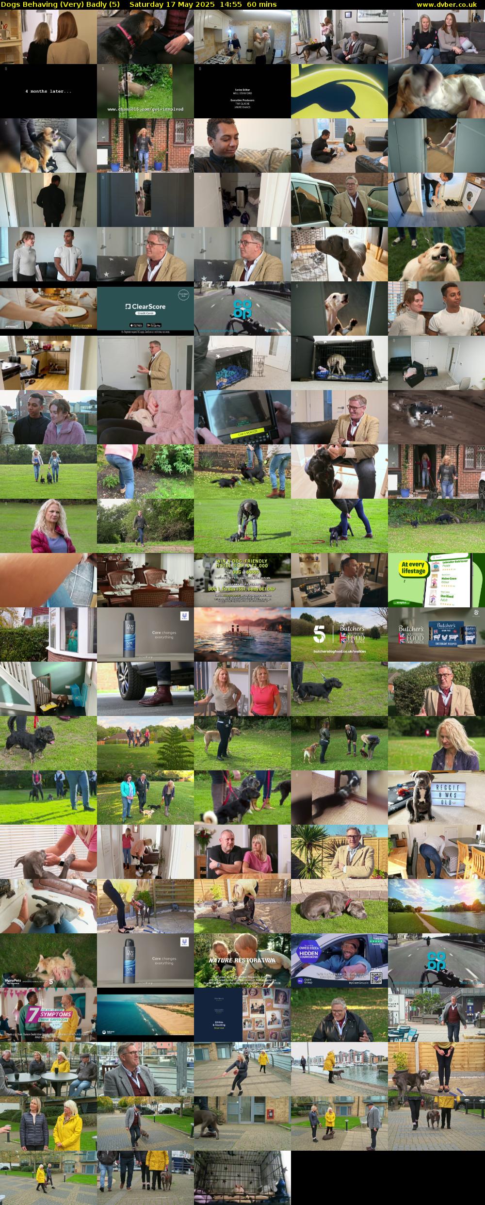 Dogs Behaving (Very) Badly (5) Saturday 17 May 2025 14:55 - 15:55