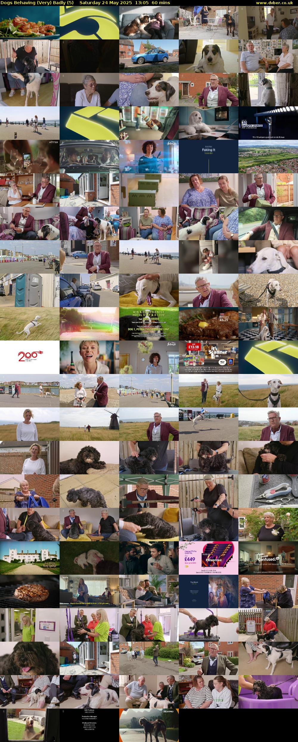 Dogs Behaving (Very) Badly (5) Saturday 24 May 2025 13:05 - 14:05