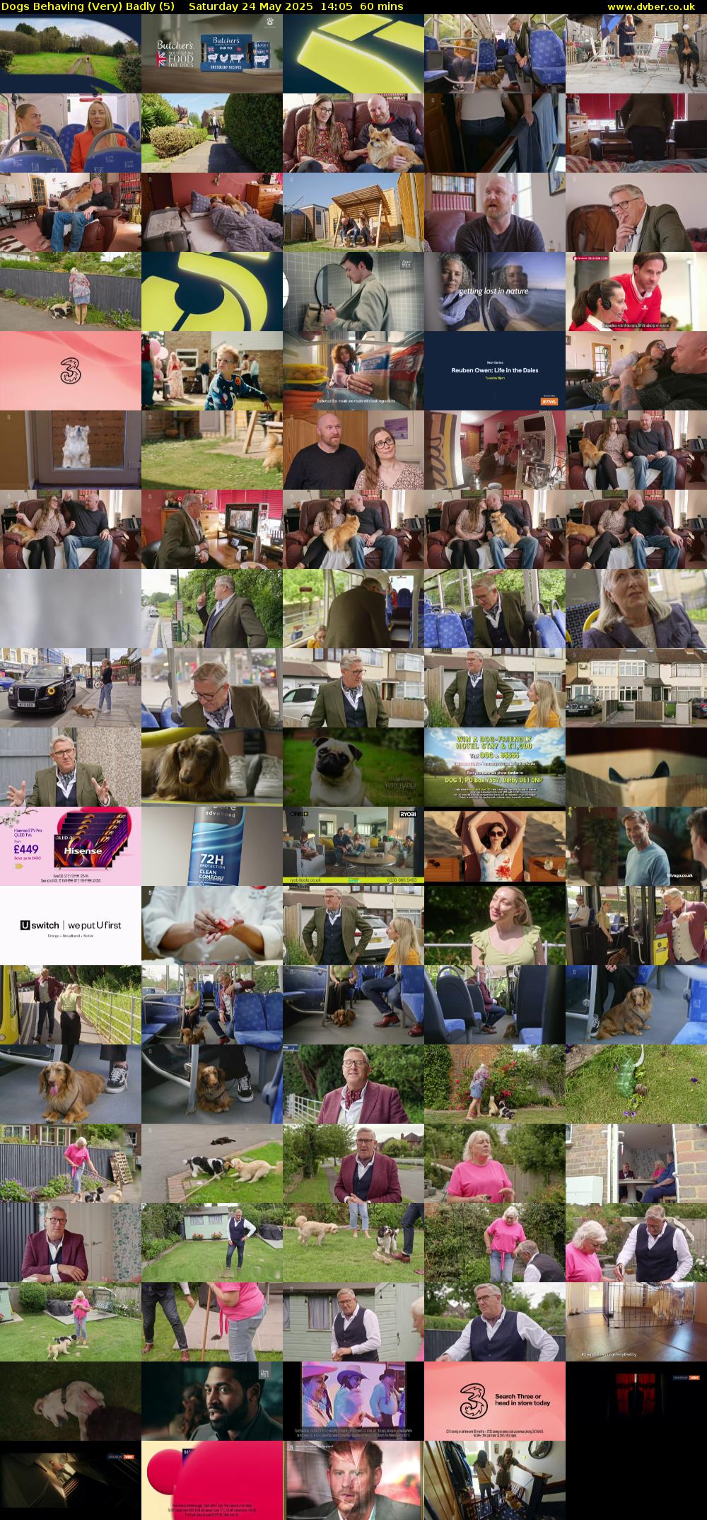 Dogs Behaving (Very) Badly (5) Saturday 24 May 2025 14:05 - 15:05