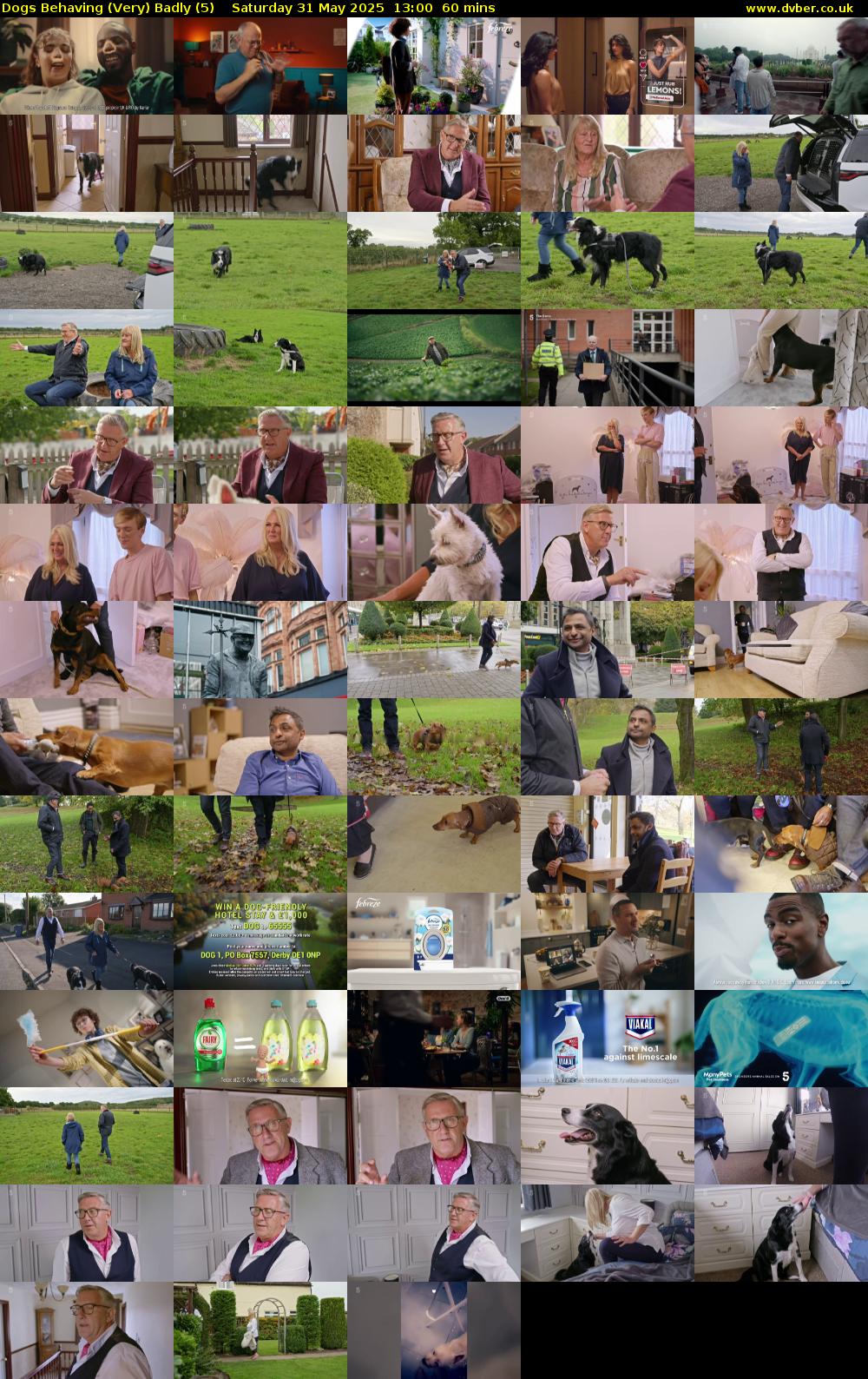Dogs Behaving (Very) Badly (5) Saturday 31 May 2025 13:00 - 14:00