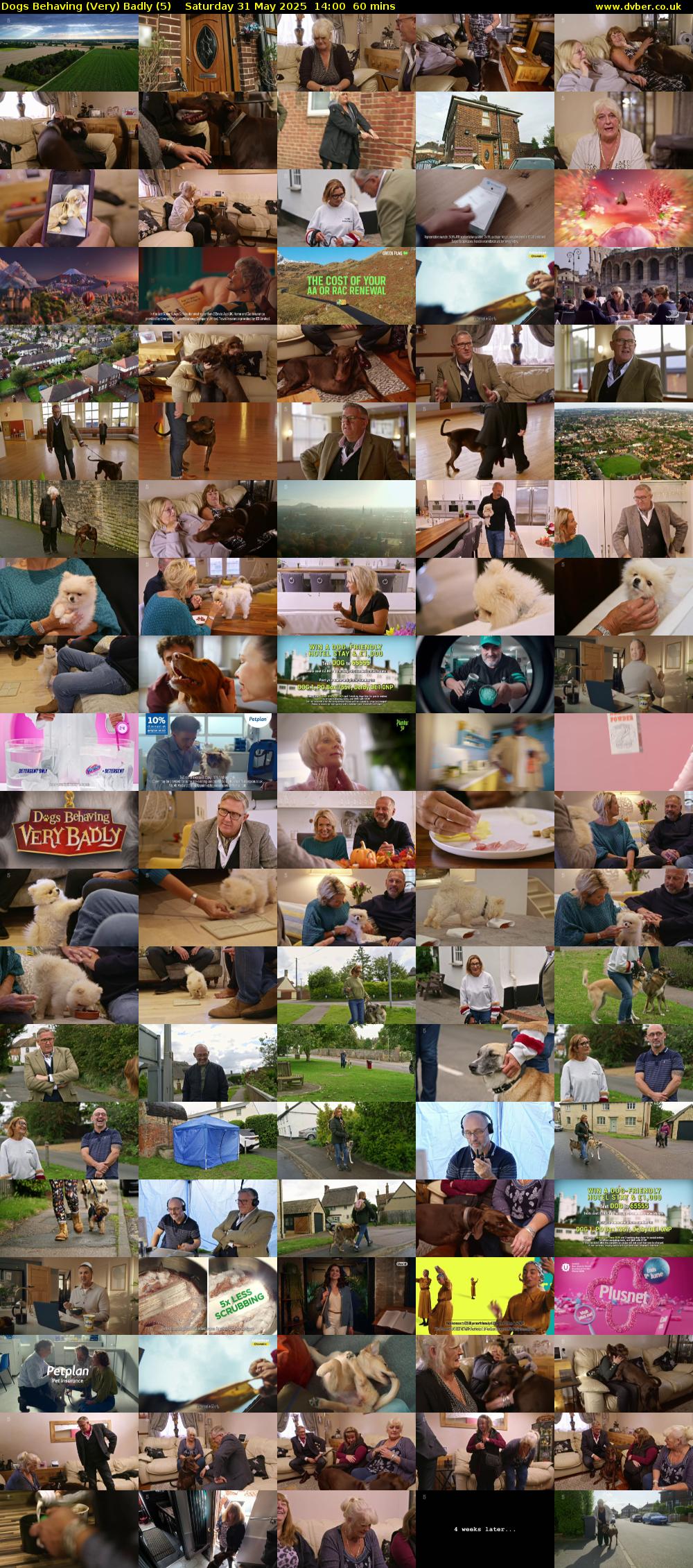 Dogs Behaving (Very) Badly (5) Saturday 31 May 2025 14:00 - 15:00