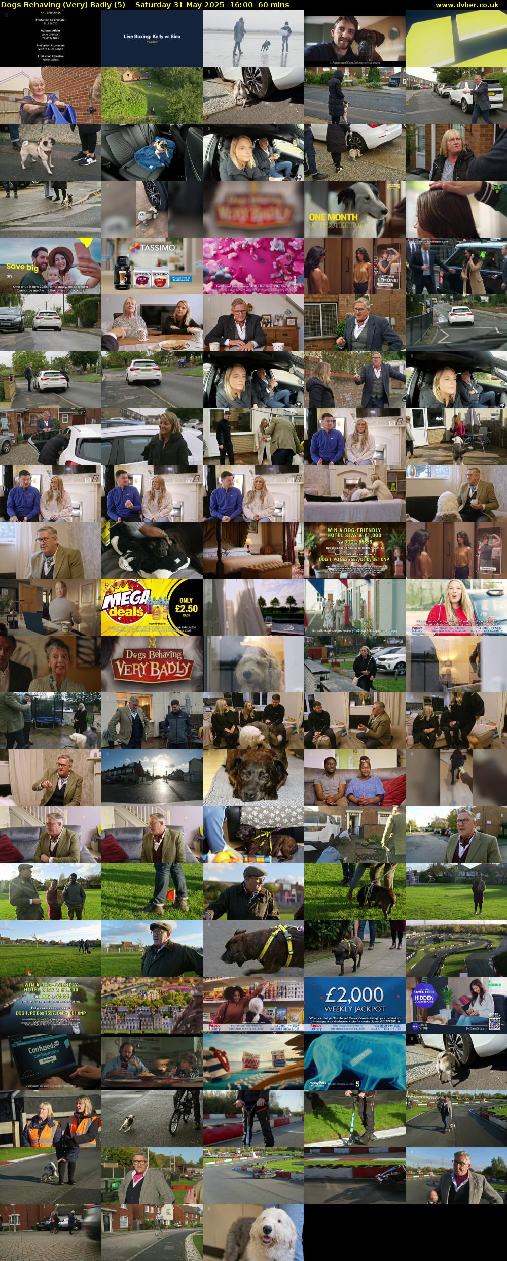 Dogs Behaving (Very) Badly (5) Saturday 31 May 2025 16:00 - 17:00